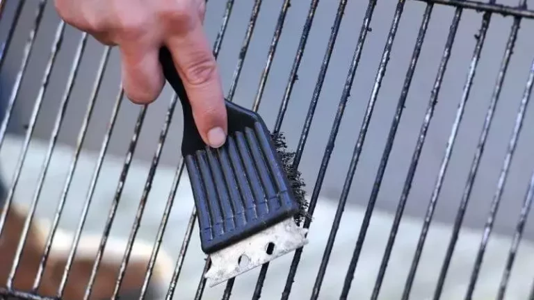 Top 9 Best Grill Brush for Weber Genesis in 2023